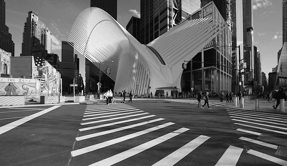 The Oculus